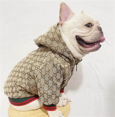 gucci pitbull sweater|gucci jacket for dogs.